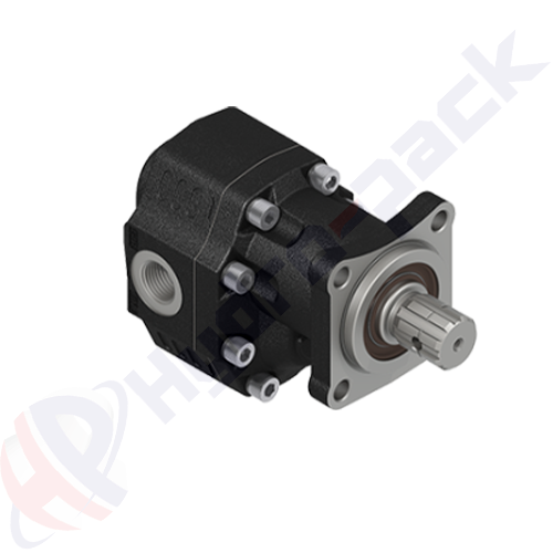 ISO-EHASS-17-R Group 30 Cast Iron Pump